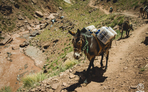 Trekking a Plaza Francia