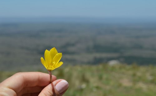 Foto del ascenso al cerro Champaquí