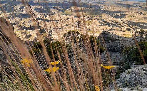 Trekking a Los Gigantes