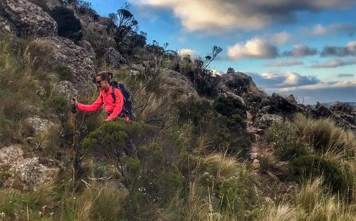 Trekking a Los Gigantes