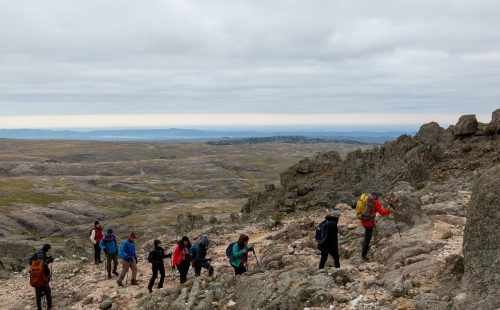 Trekking a Los Gigantes