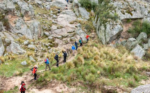 Trekking a Los Gigantes