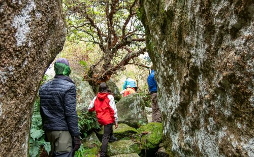 Trekking a Los Gigantes