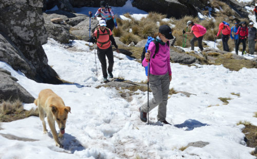 Ascenso al Cerro Champaquí