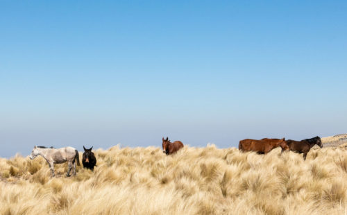 Trekking a la Quebrada de Yatán