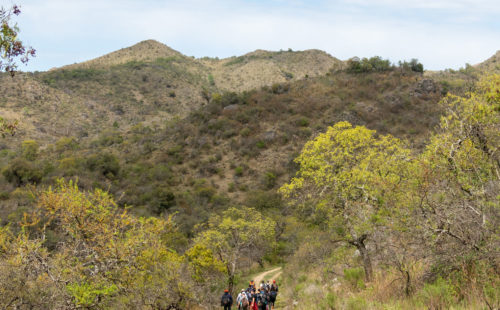 Cerro Blanco