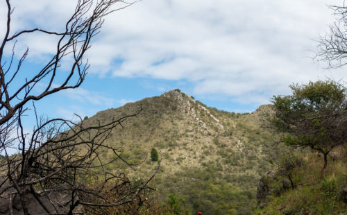 Cerro Blanco