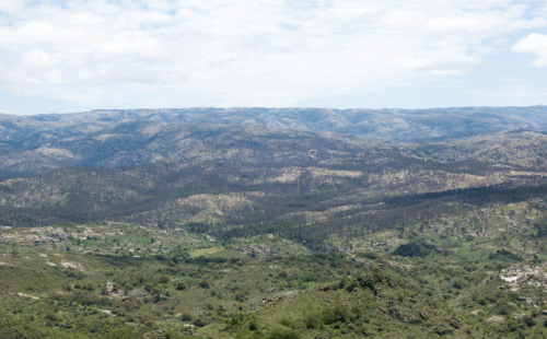 Cerro Blanco