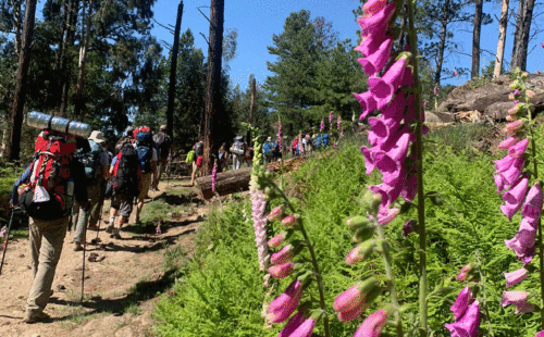 Ascenso al Cerro Champaquí