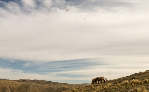 Trekking en Pueblo Escondido