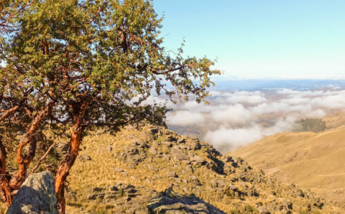 Cerro Champaquí