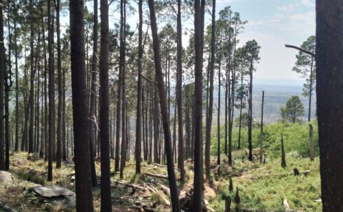 Ascenso al Cerro Champaquí