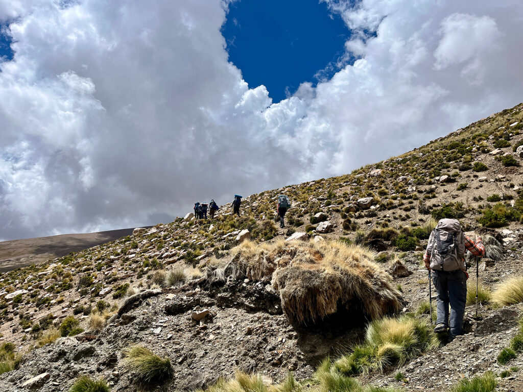 Nevado del Chañi